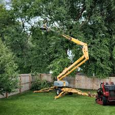 Best Sod Installation  in Montpelier, OH